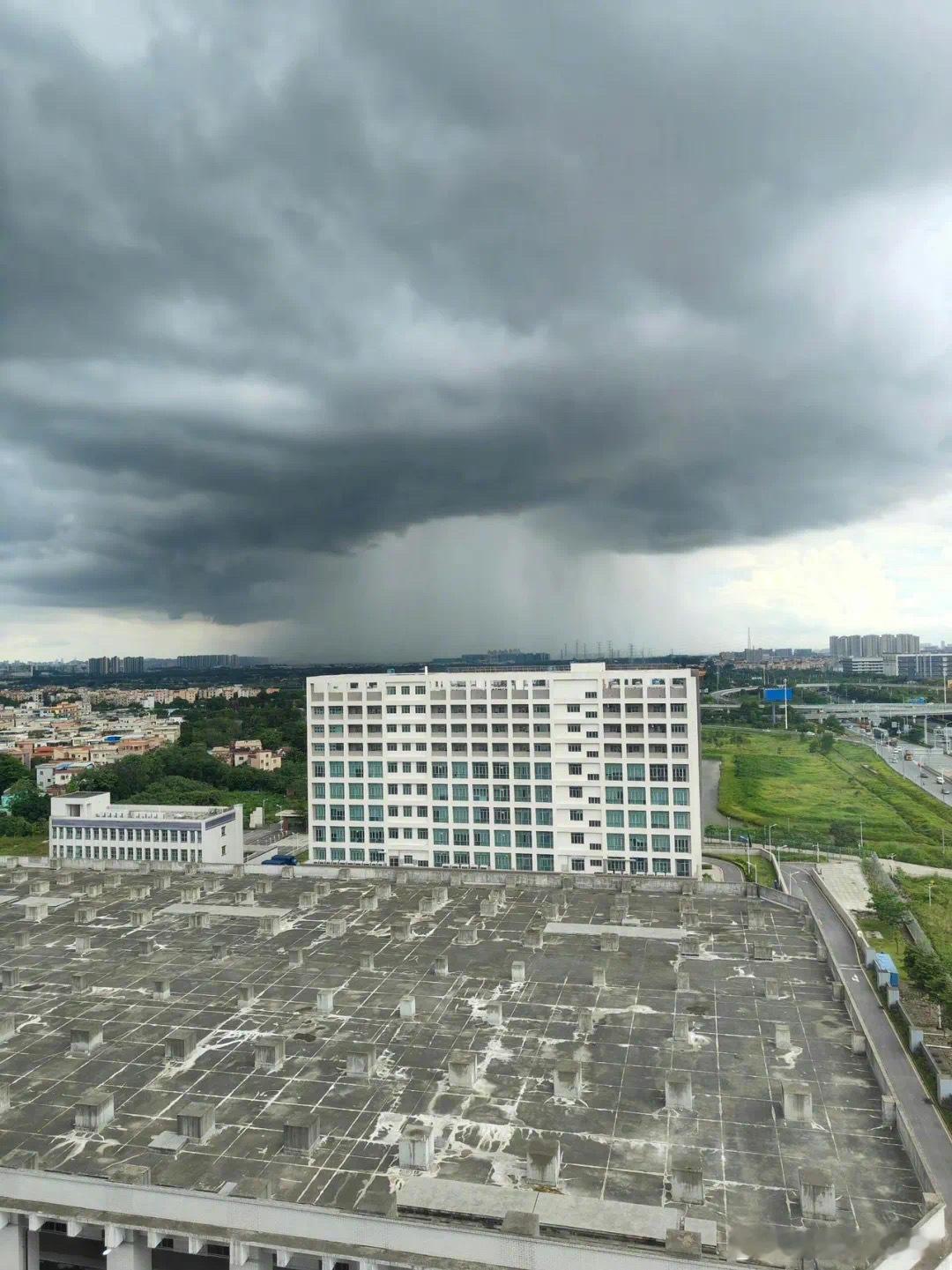直观看到了局部降雨 迷惑行为大赏 ​​​