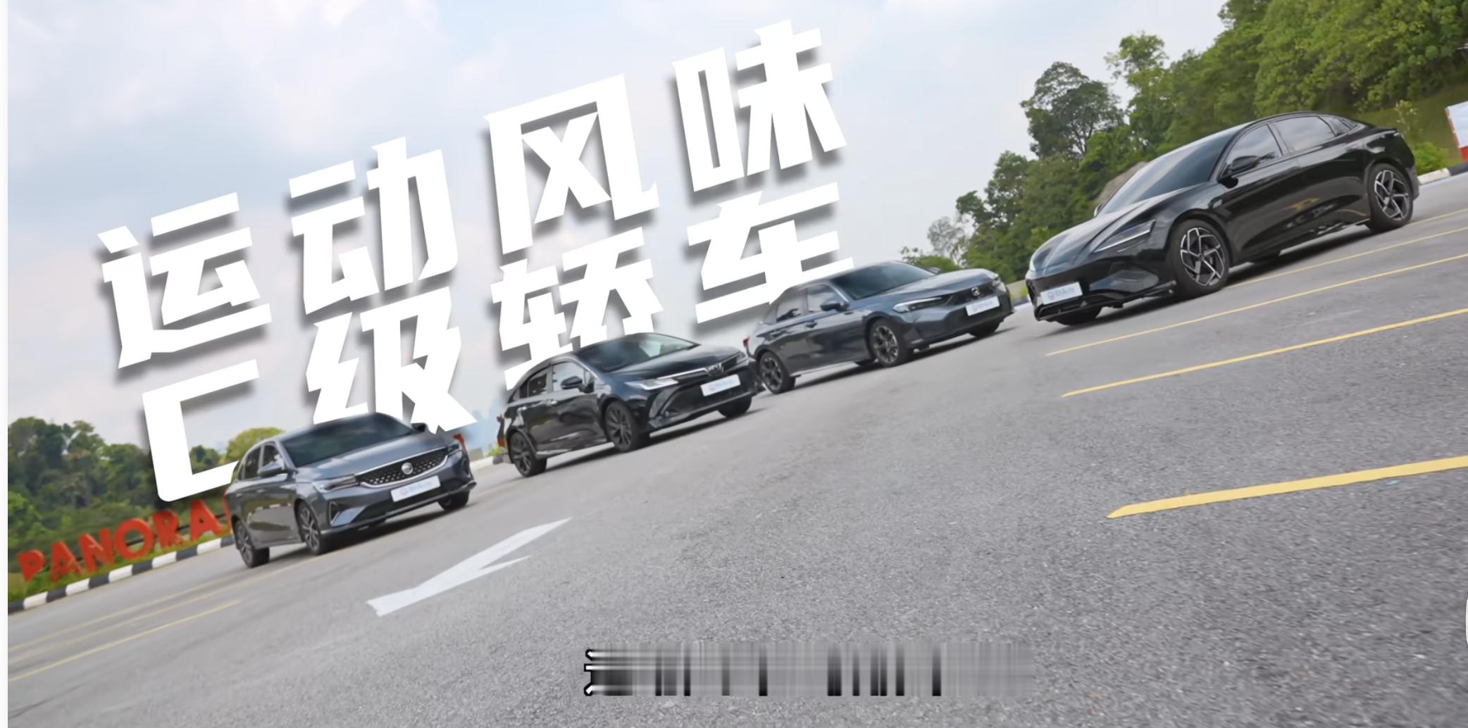 出了中国，大家对于级别的定义还是有共识的，这就是c级车，c segment就是紧