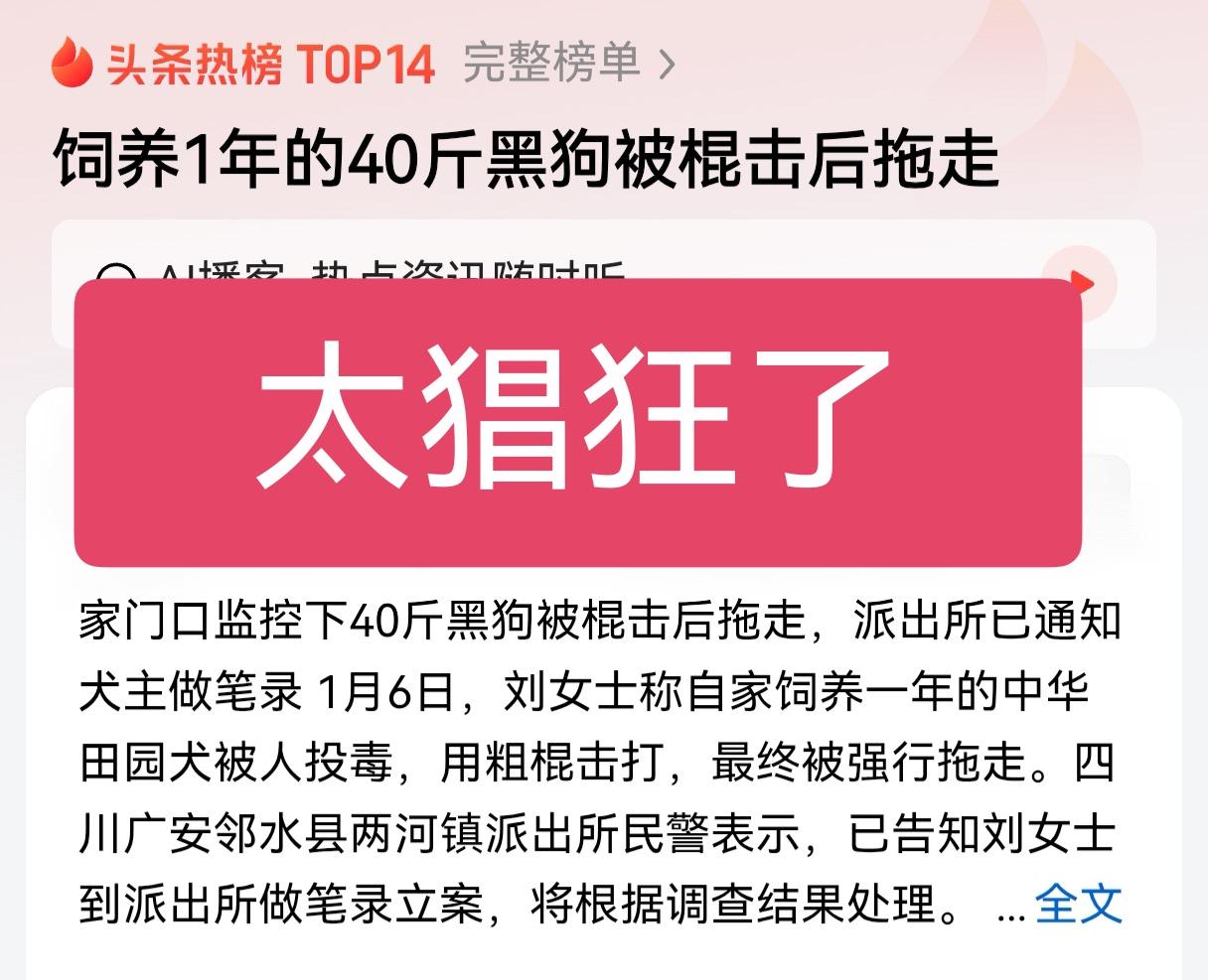 太猖狂了！在人家的家门口，还有家人在场的情况下，毒杀，并用棍棒直接打死黑狗，然后