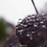 小云爱说体育