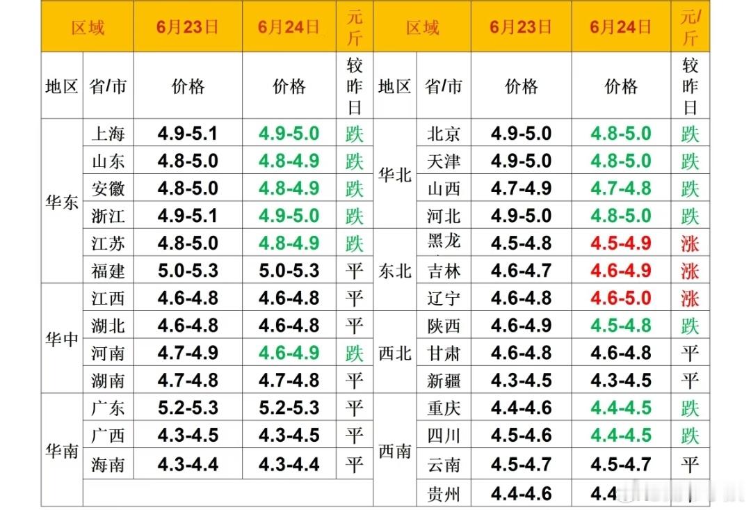 每日猪价 