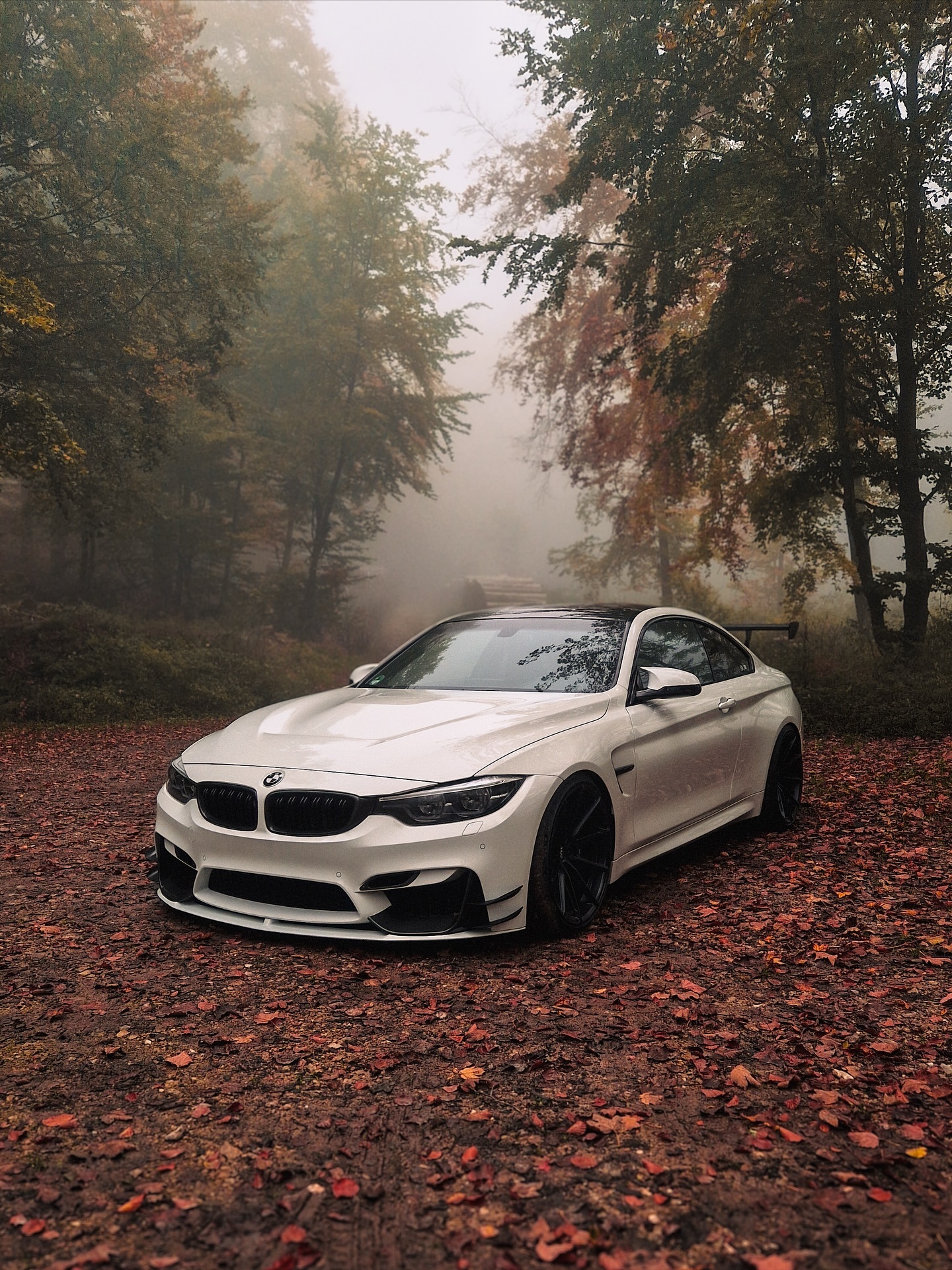 白色的沉静，藏不住的野性。f82m4bmwsky[超话]mpower ​​​