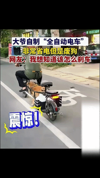 大爷自制混动电瓶车，真是脑洞大开！
这百公里油耗就是两只烧鸡啊！