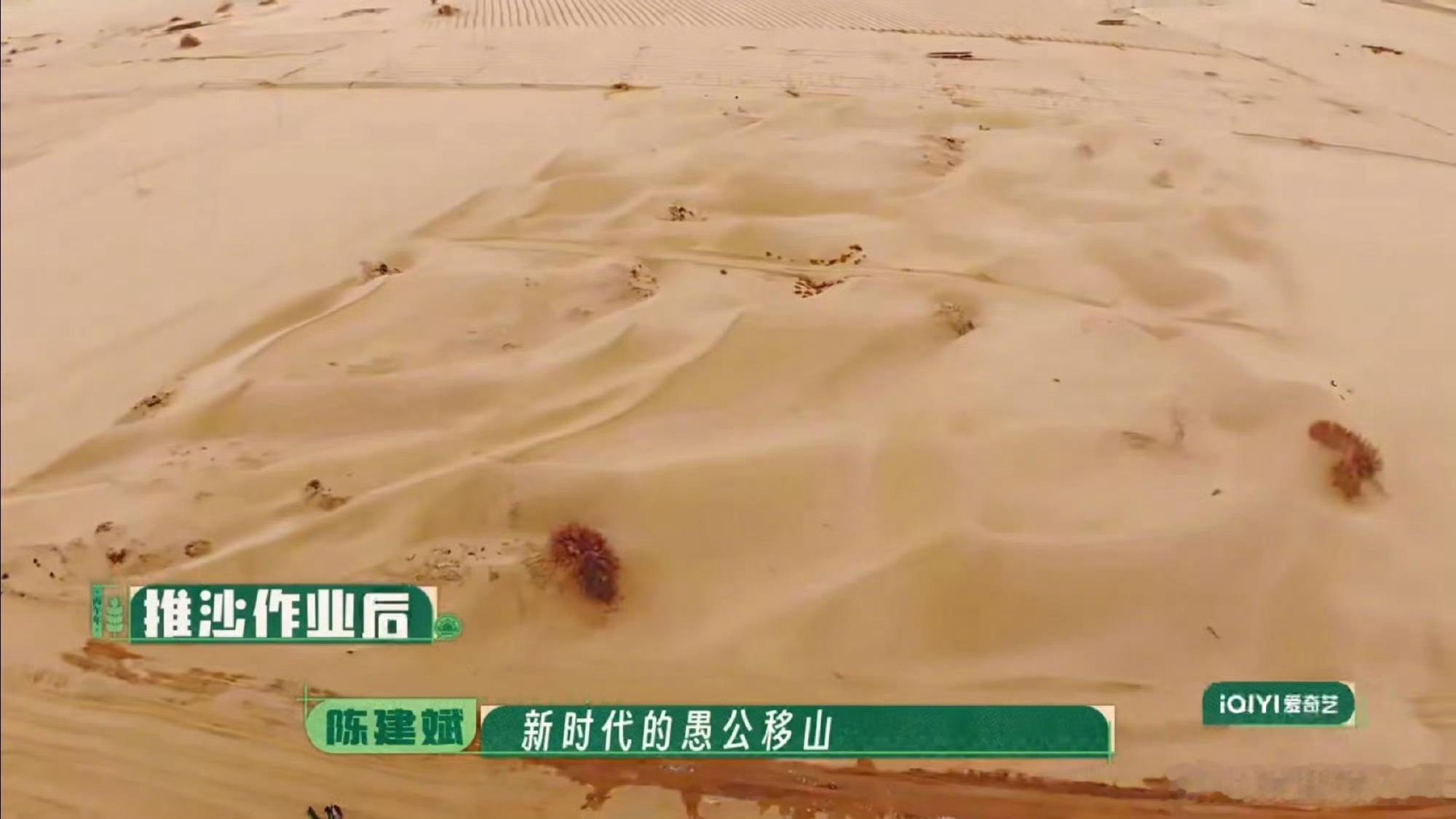 陈建斌说推沙是新时代的愚公移山 每一寸平整沙地都藏着无数次推沙往返，少年们默默承