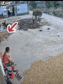 浙江一对夫妻闹矛盾，冷战好几天，谁也不理谁。这天妻子实在气不过，拎着包打算回娘家