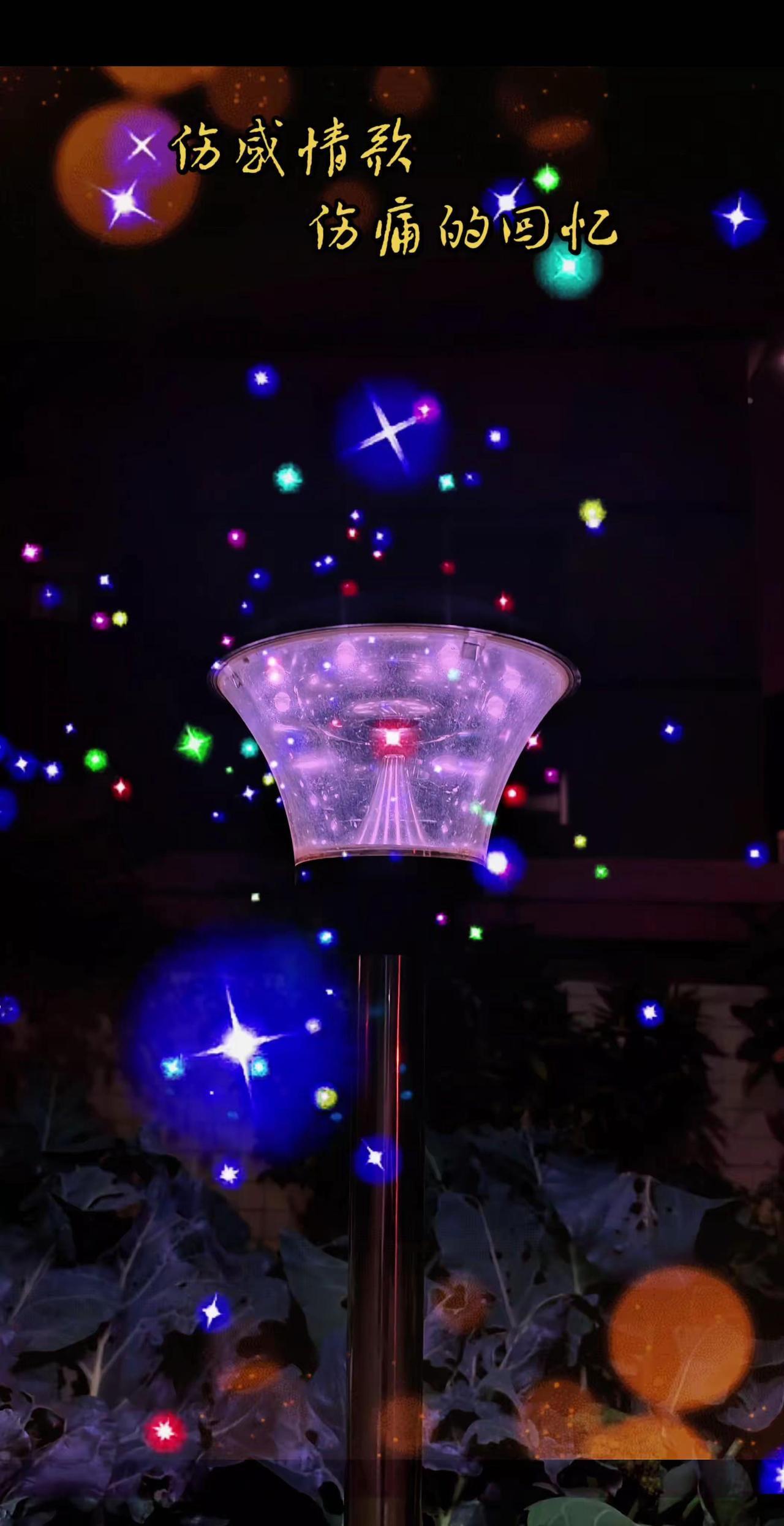 原创视频 助手 户外照明