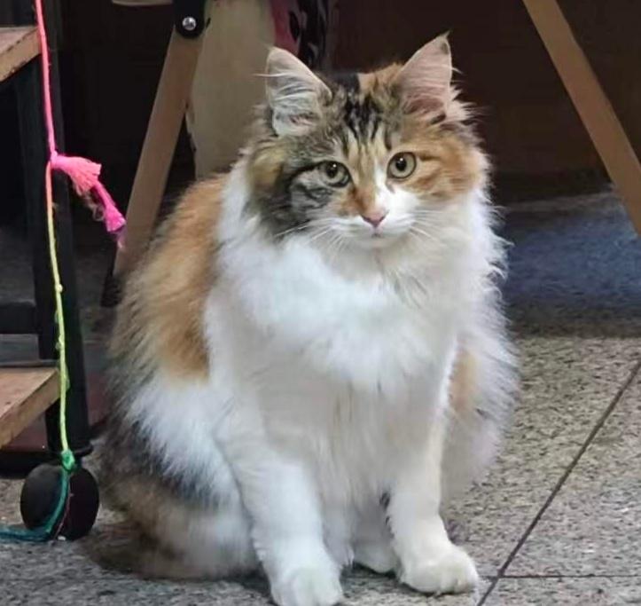 duang大一坨[泪奔][泪奔][捂嘴哭][捂嘴哭] ​​​