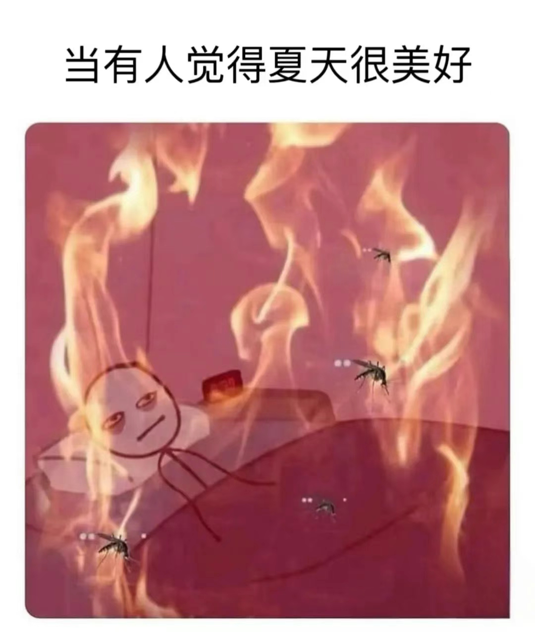 双buff🦟🌞meme /今日memes ​​​
