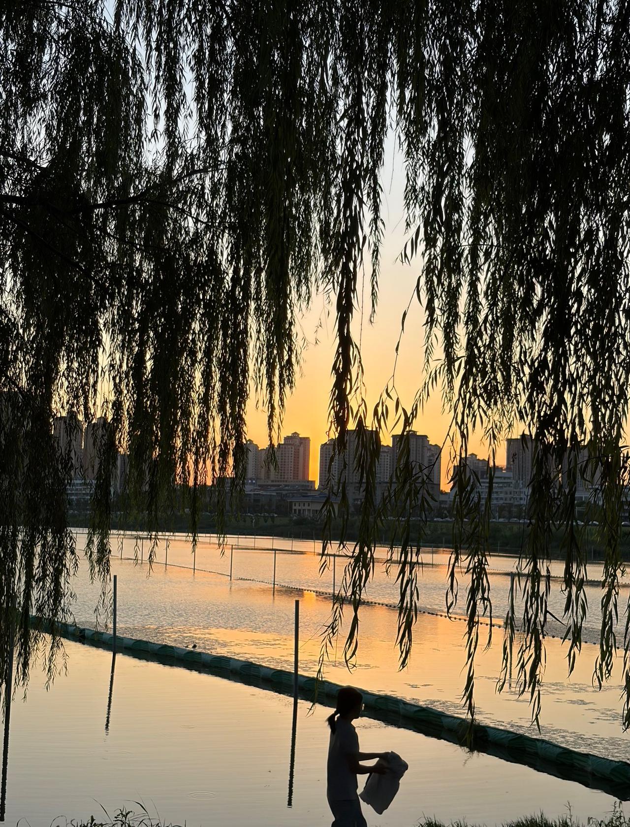 明人不说暗话，人过五十，我越来越不想应付身边那些熟人了。

手机一响，先看看来电