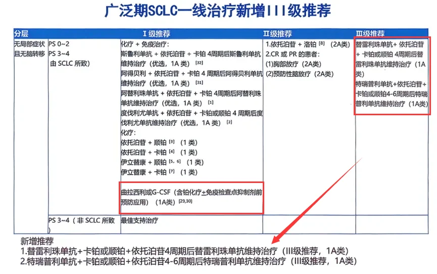 2024年小细胞肺癌治疗（SCLC）指南已更新（CSCO 2024） ...