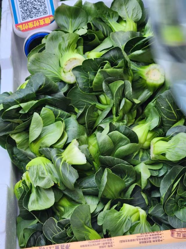 吃油菜有什么好处
    油菜和白菜一样是每天餐桌少不了的蔬菜。
油菜里含大量胡