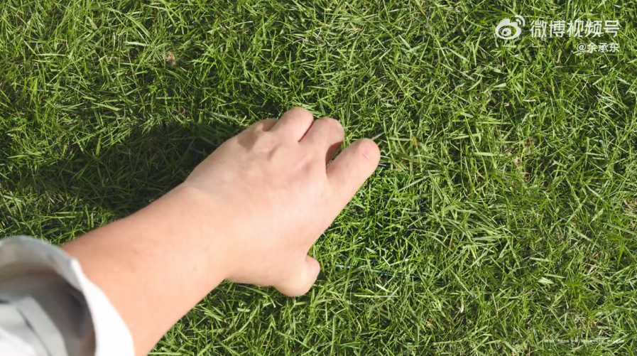 你说草地里有一台手机？华为Mate80 Pro Max屏幕在大太阳下看着也很亮 