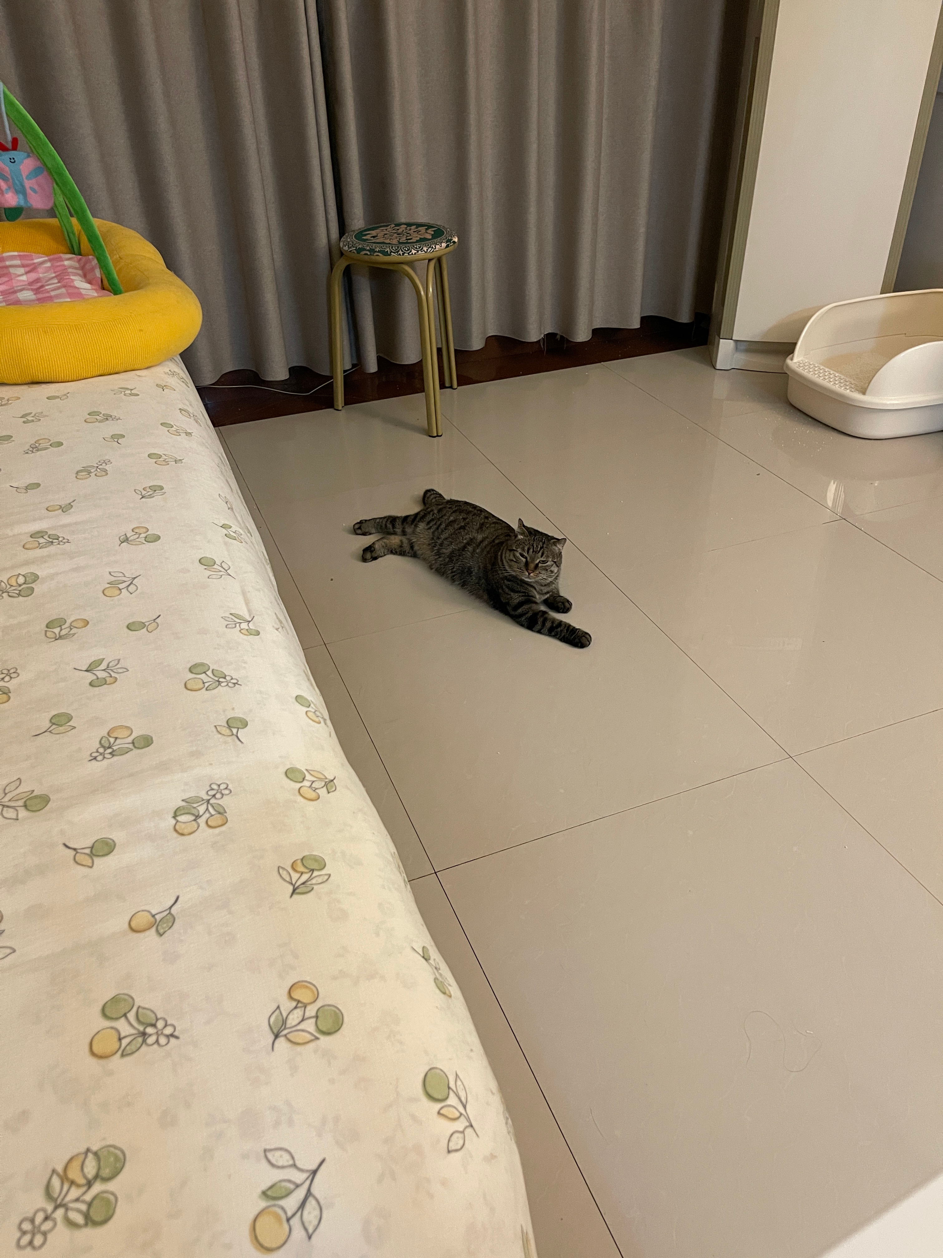 余光里感觉被注视了 扭头一看是肉肉 鬼迷日眼的不知道在干嘛