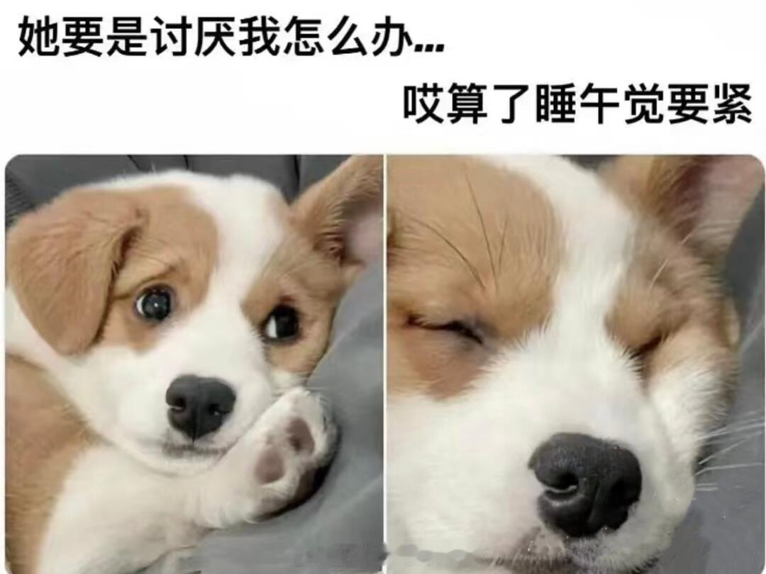 我就这样，还有吃饭要紧[好运连连] 