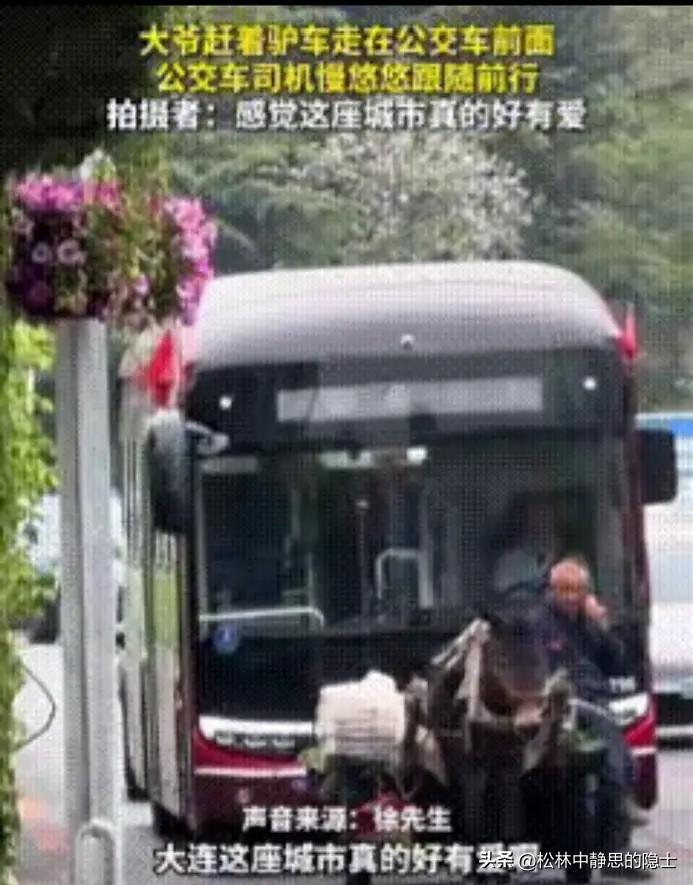暖心一幕！5月2日，辽宁大连。一群市民在公交站台候车时，突然集体憋笑围观。旁边的