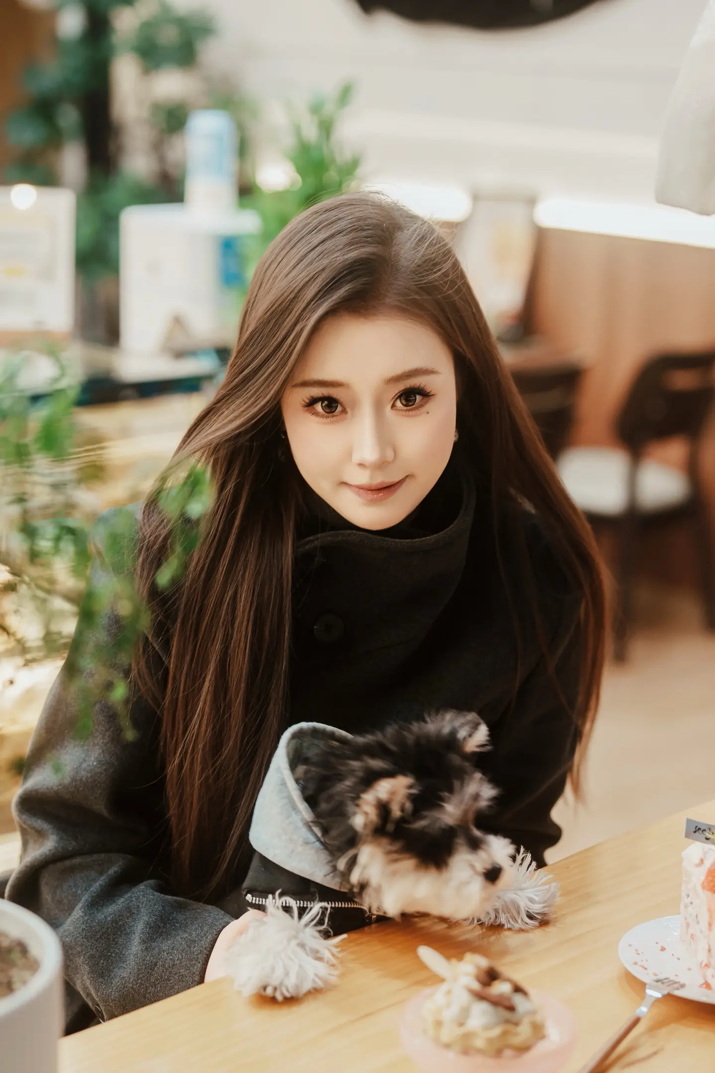 小狗也想吃蛋糕吗🍰