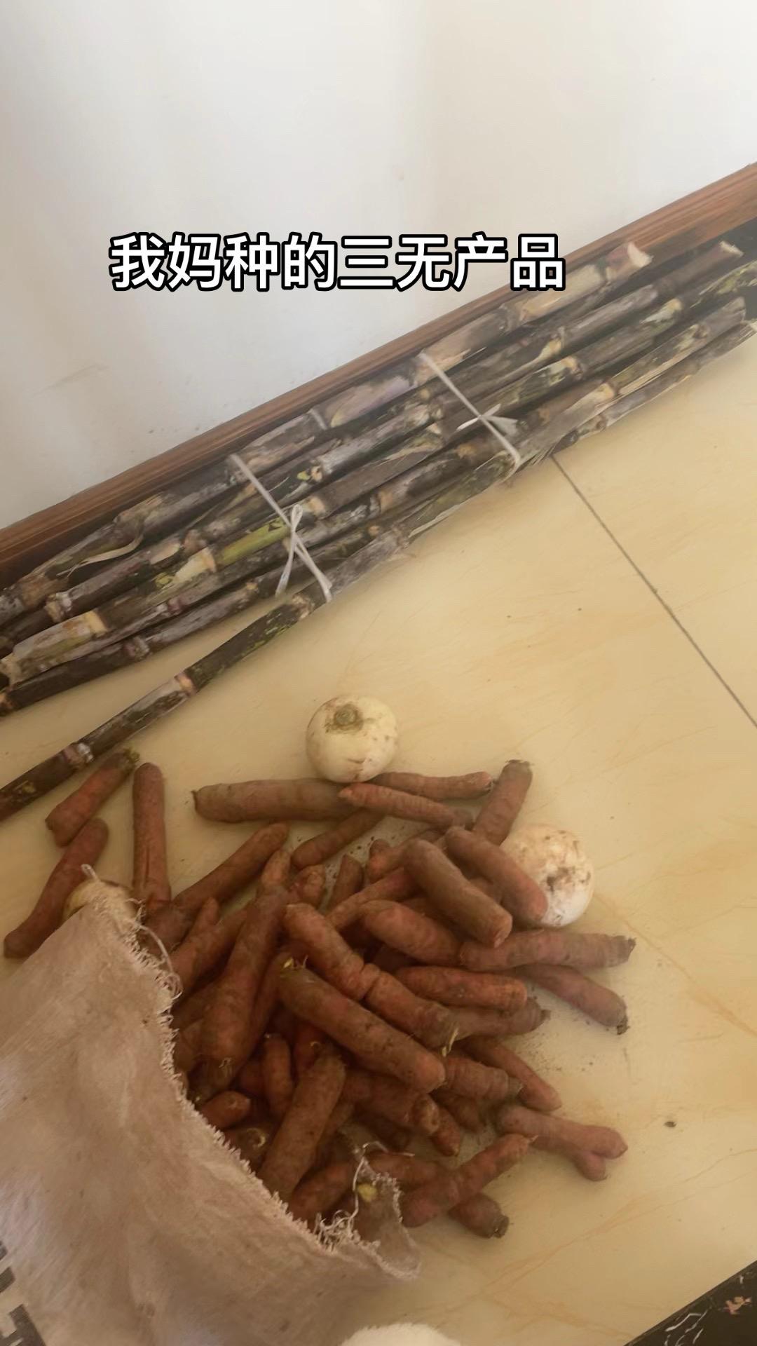 我妈种的三无产品：没有食品安全检查报告，没有卫生许可证，没有营业执照，你们说看能