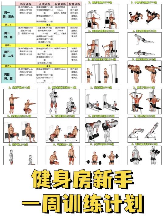 健身房新手训练计划！附带详细教学