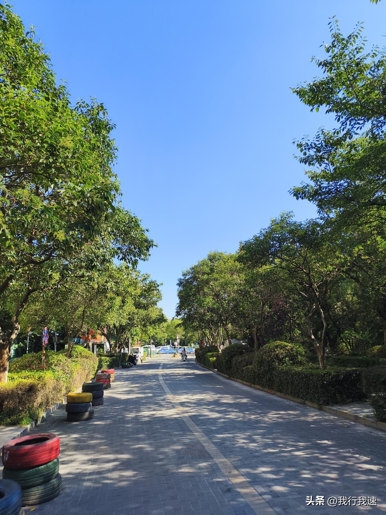 南京今天这高温橙色预警可太要命了，37度的天气，太阳跟个大火球似的炙烤着大地，感
