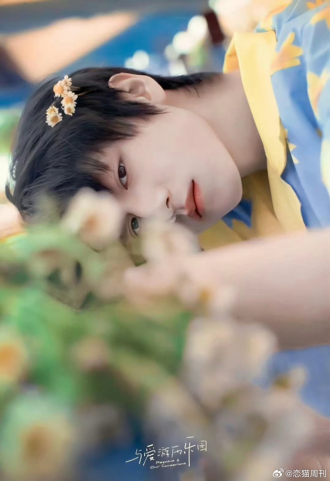 晚安小宝宝 ​​​