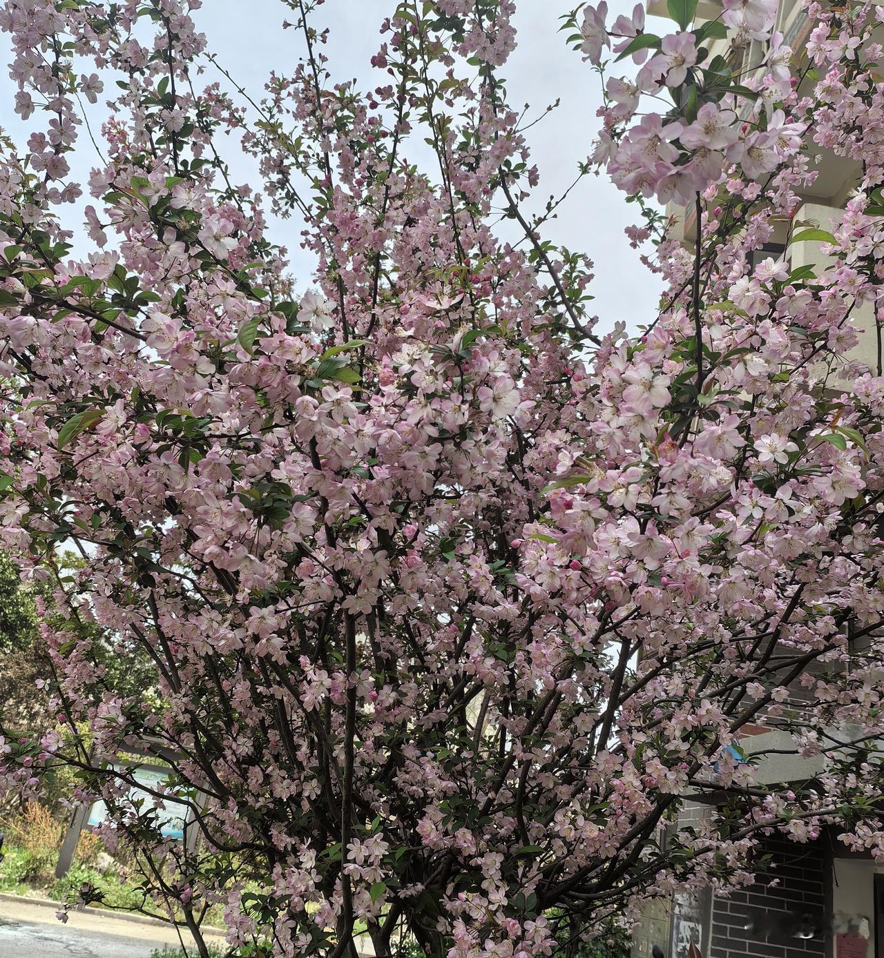 老话常说：“吃得苦中苦，方为人上人”。这并非是教人如何凌驾于人，而是岁月沉淀出的