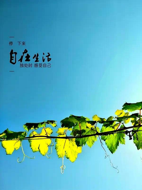 灯一熄，人一老。
八旬人小声嘀咕：日子没法细数了，那就从今天，把活法拧一拧。
过