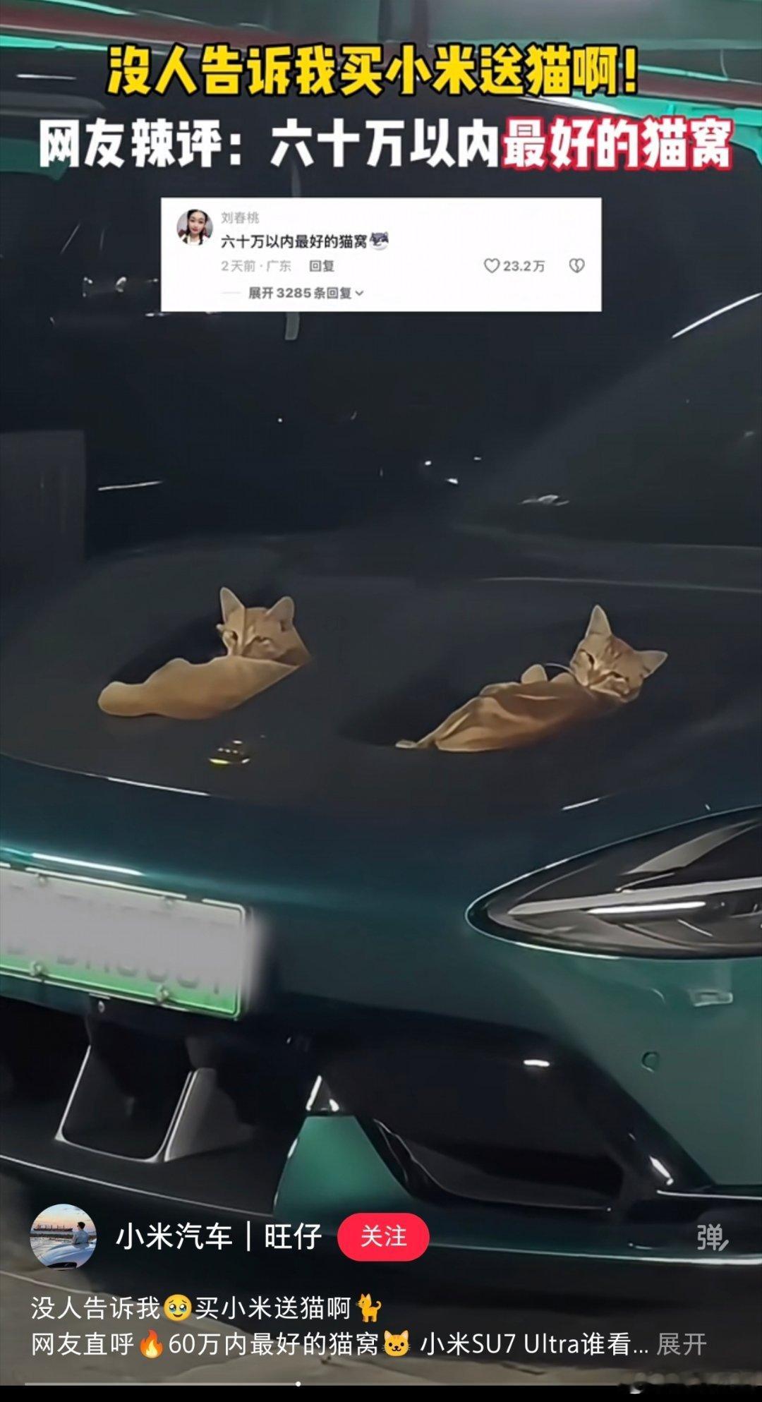 小米su7ultra，买了就送60万以内最好的猫窝，当然不是我。 