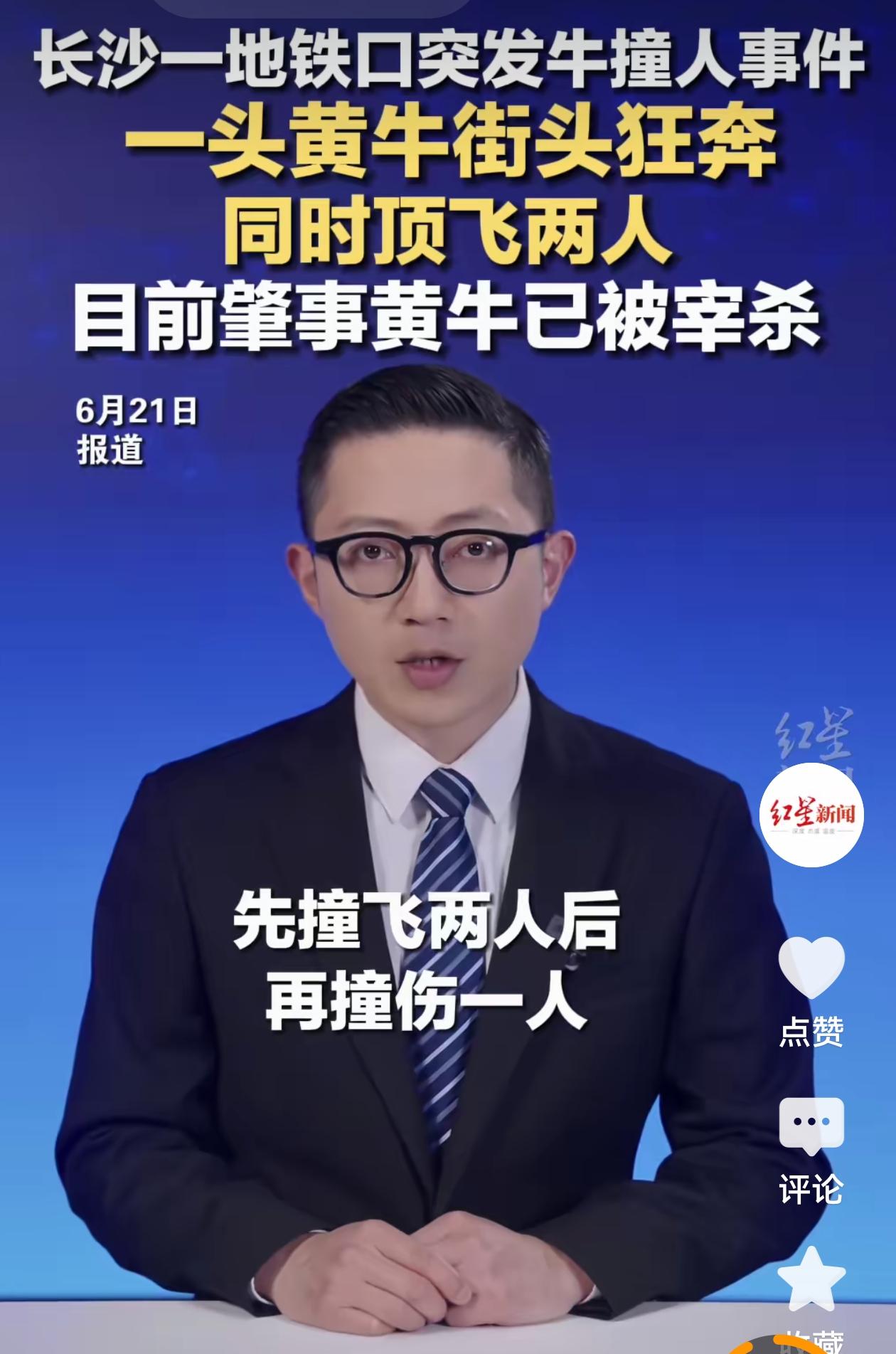 长沙凌晨闹市惊现疯牛狂奔！三名路人无辜受伤，太揪心了
 （个人观点仅供参考，无任