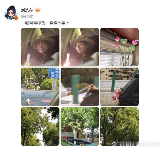 刘浩存分享看风景 plog，林间小道绿意蔓延。她用镜头记录自然点滴，阳光、绿叶与