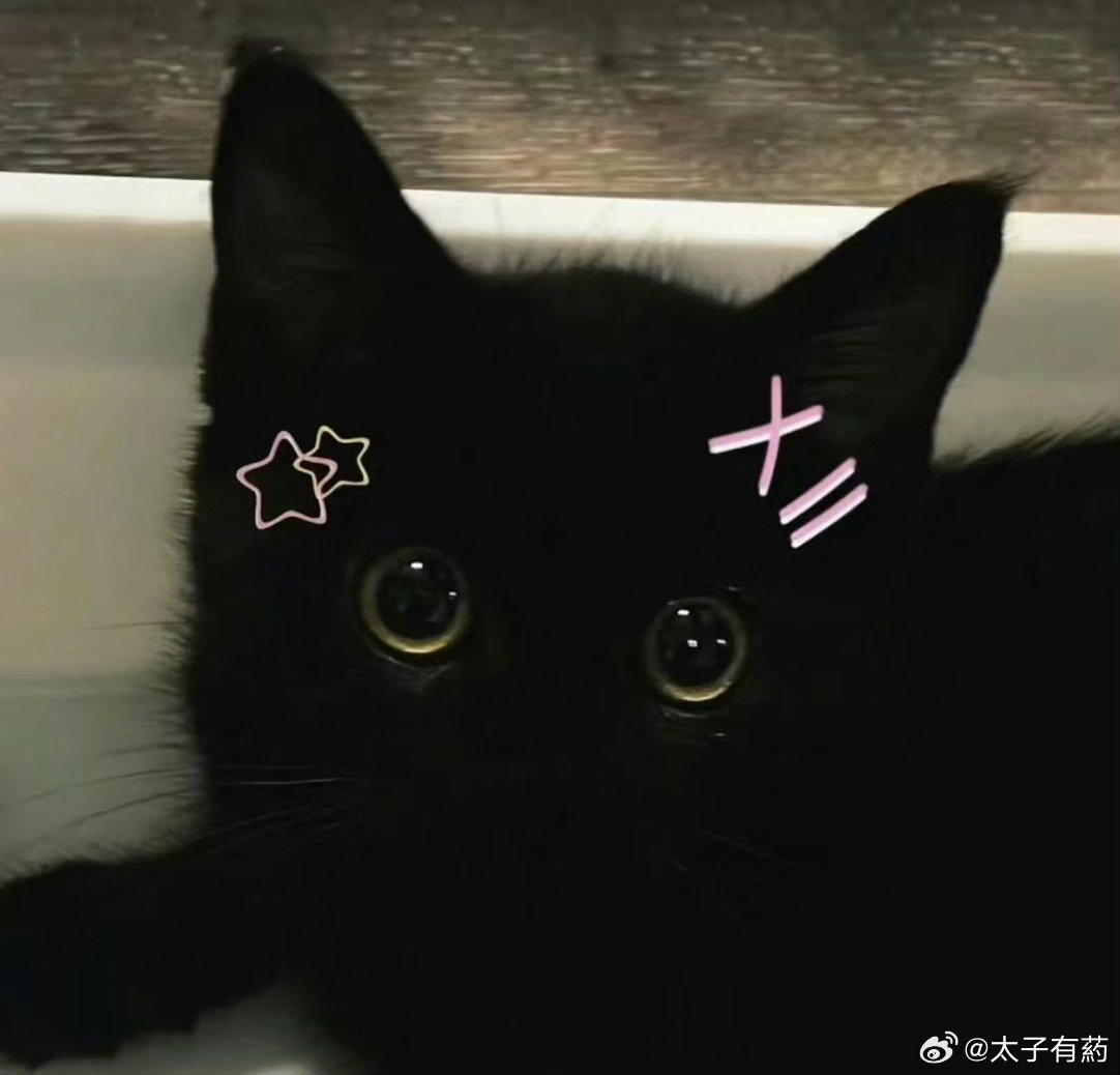 我感觉这就是朱志鑫本体你们懂吧 朱志鑫每天在家就这样萌萌的盯着我你们懂吧 
