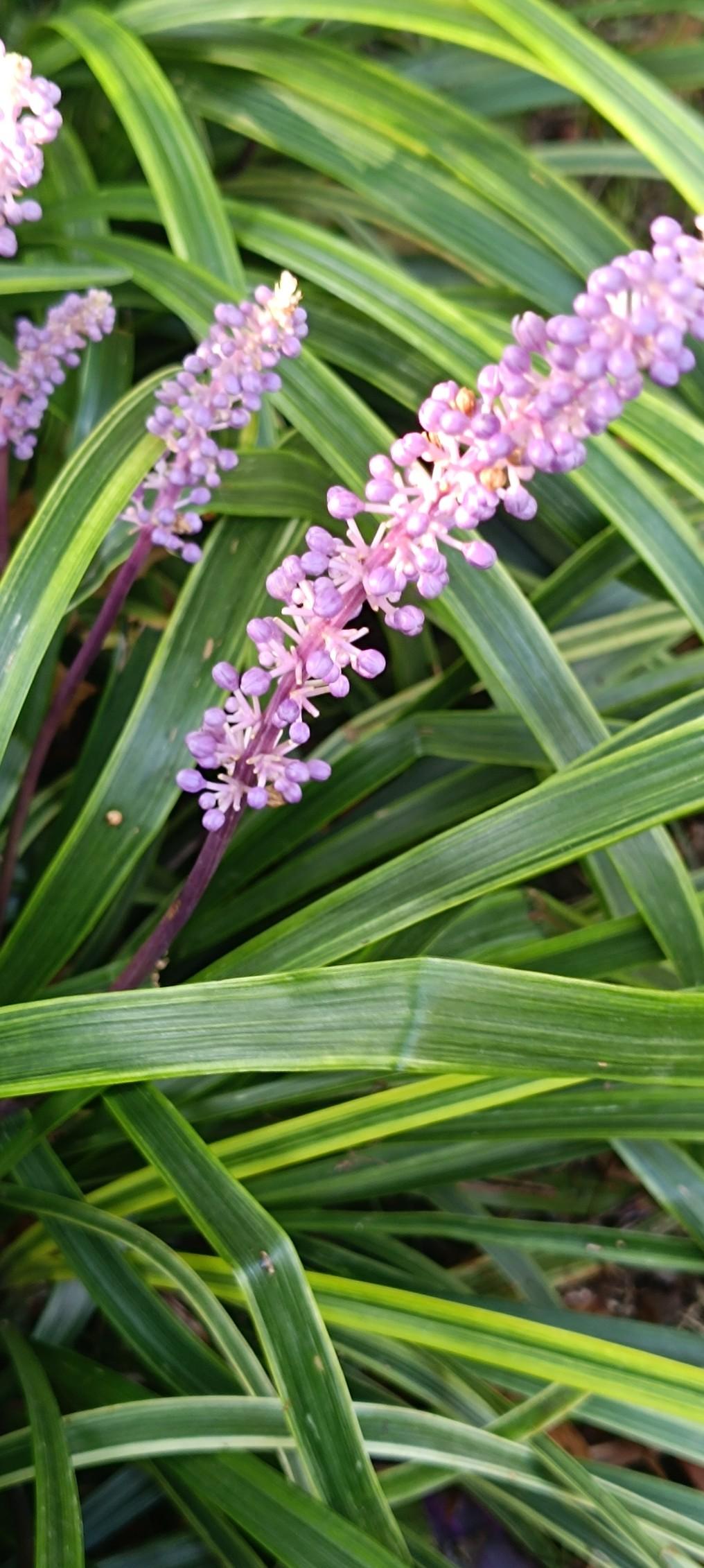 12月29日，北京一公司招聘25人，其中24人实为骗薪团伙。他们互相推荐易入职、