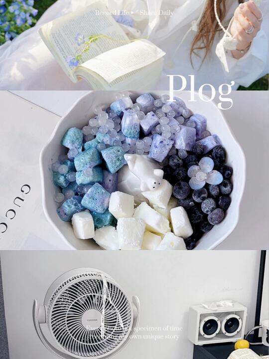 My life| 夏日清凉,宅家还能呼吸森林空气🤍