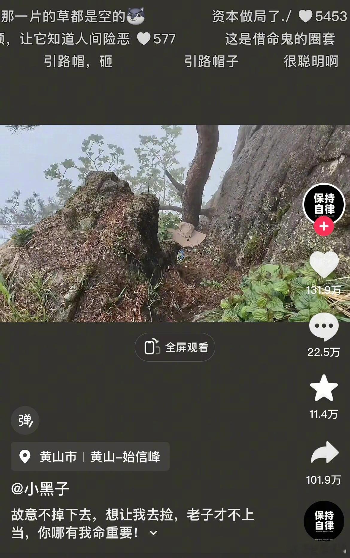 这种评论区，没有半小时走不出去[跪了] ​​​