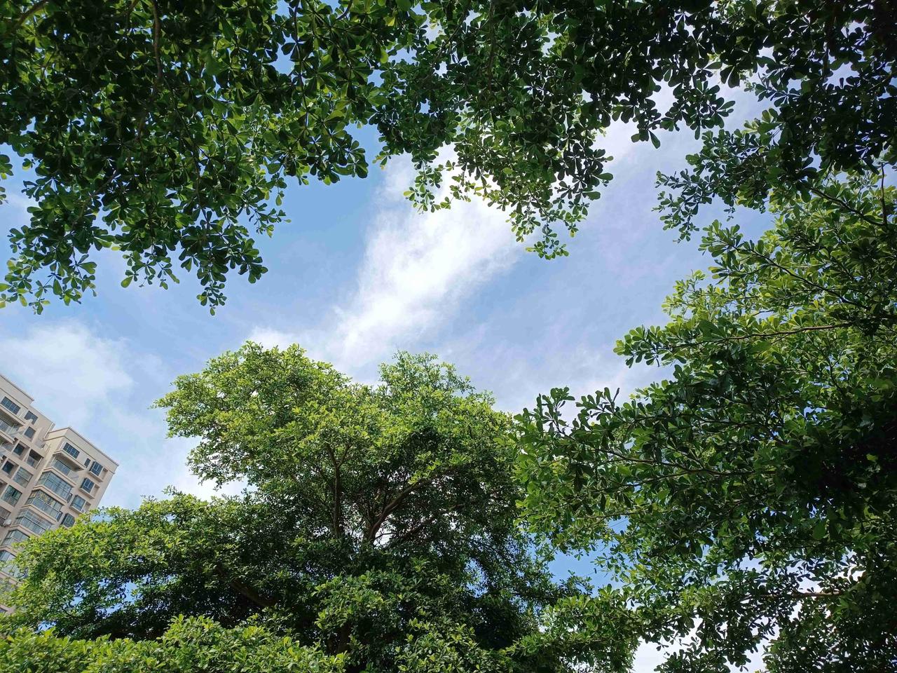 我的今日状态：🏃‍➡️运动
我这里的天气：☀️晴天