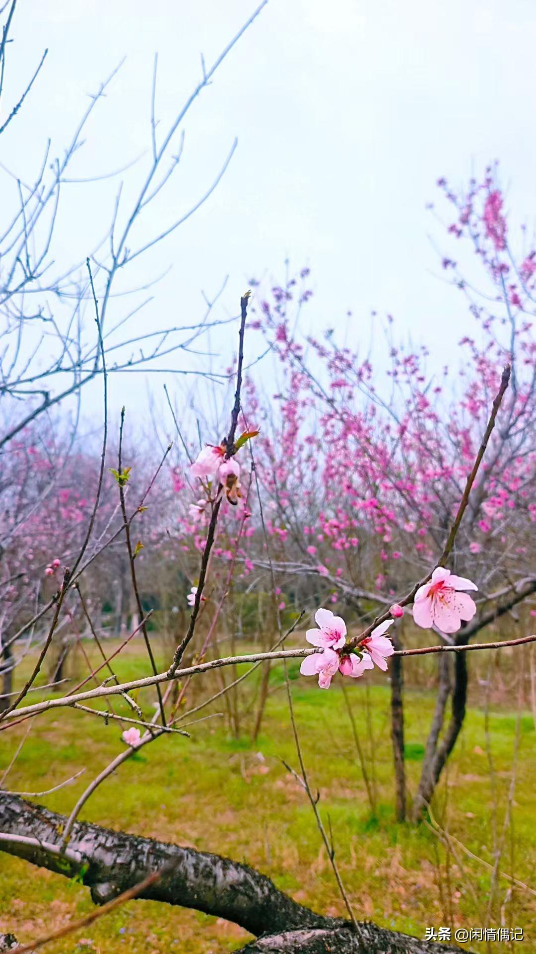 有哪些美女让人过目难忘？
 
其实我觉得真正让人记一辈子的美女，从来不是只靠一张