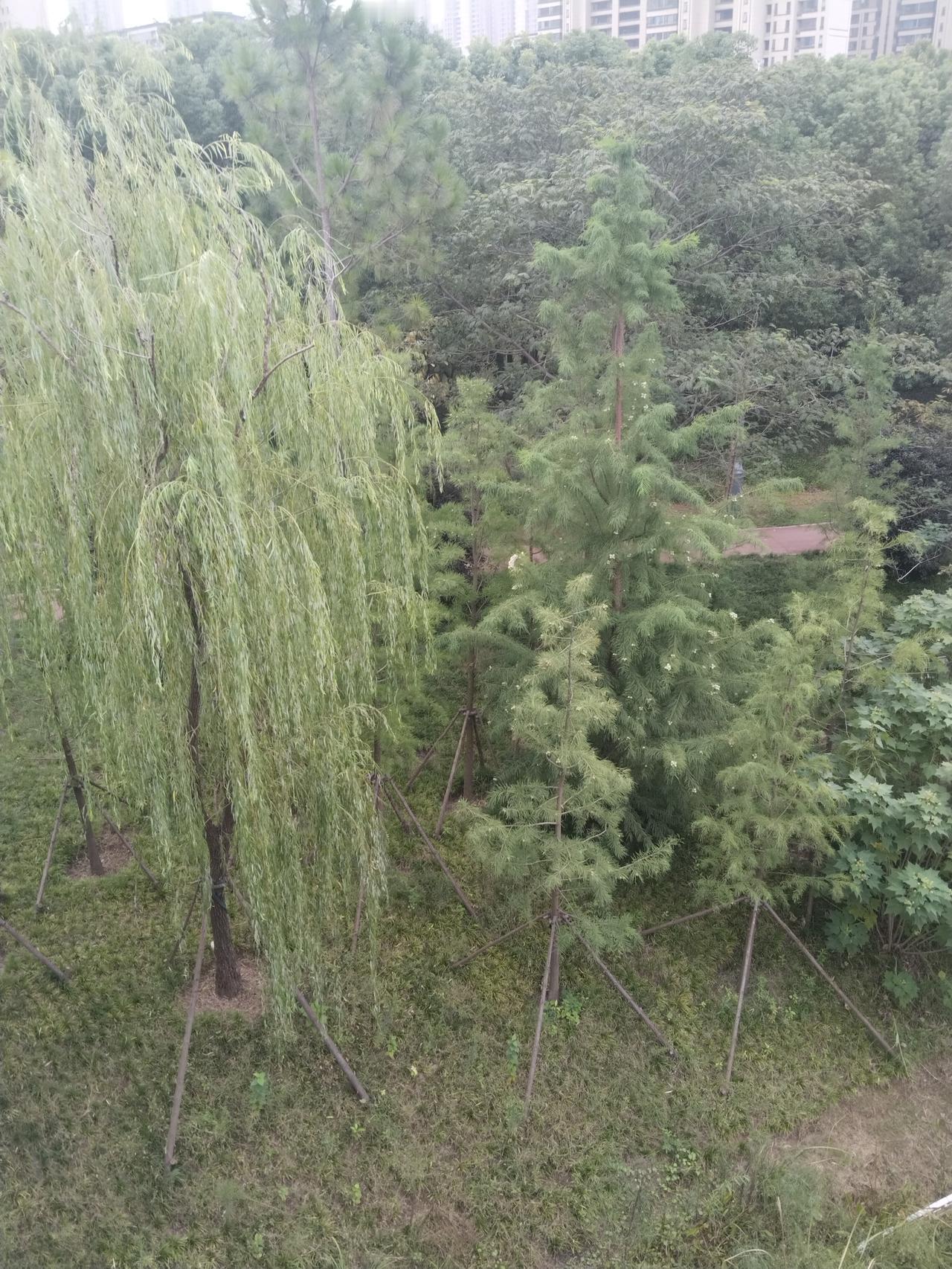 衣食住行都是题 吃喝玩乐皆有章   生活本来是在你行动起来后有了生机  在你热爱