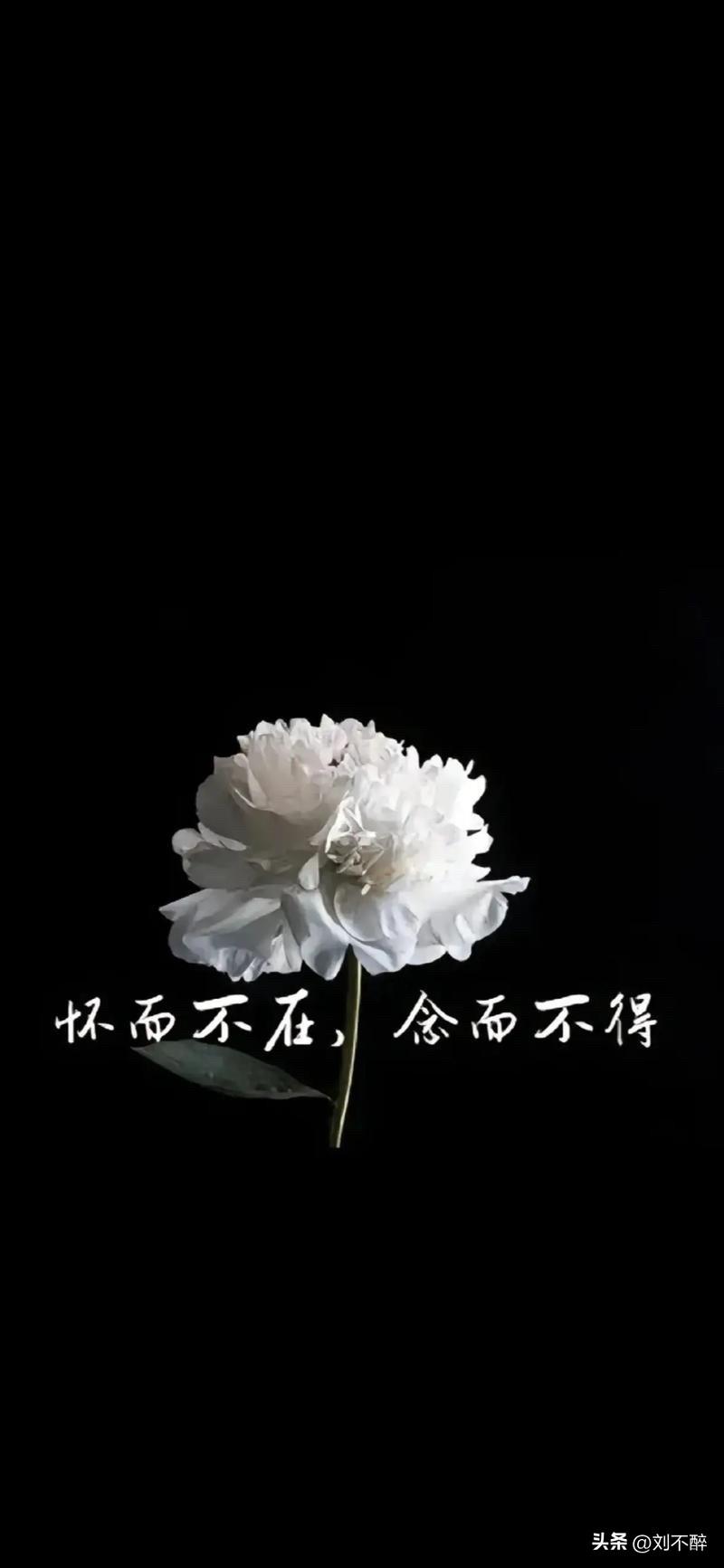 张学峰老师的离世，
对我打击极大，
我深感惋惜！

雪峰老师就是活生生的例子！