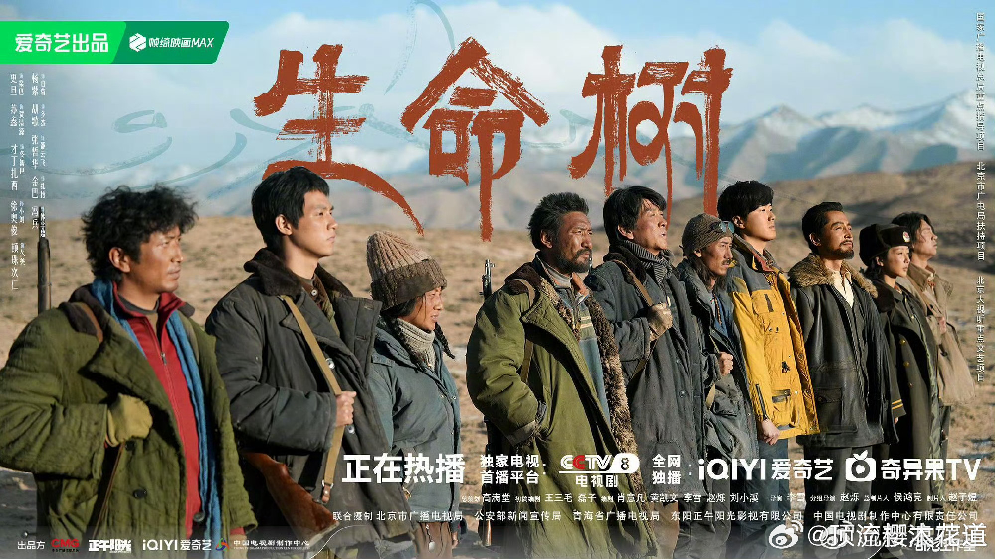 生命树金鹰奖最佳电视剧生命树实至名归。 ​​​