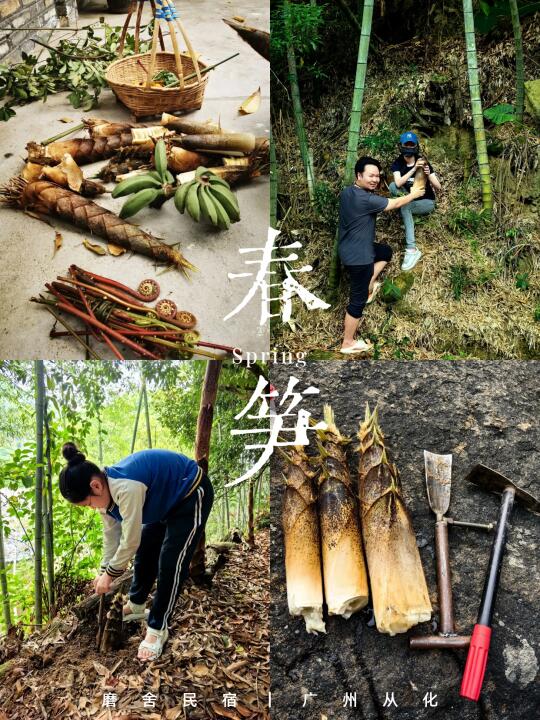 🌿山野挖笋+溯溪野炊，解锁小众踏青玩法