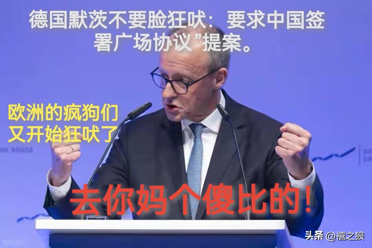 狼评天下：欧洲的疯🐶又开始狂吠了

德国默茨不要脸的吠：要求中国签署广场协议”