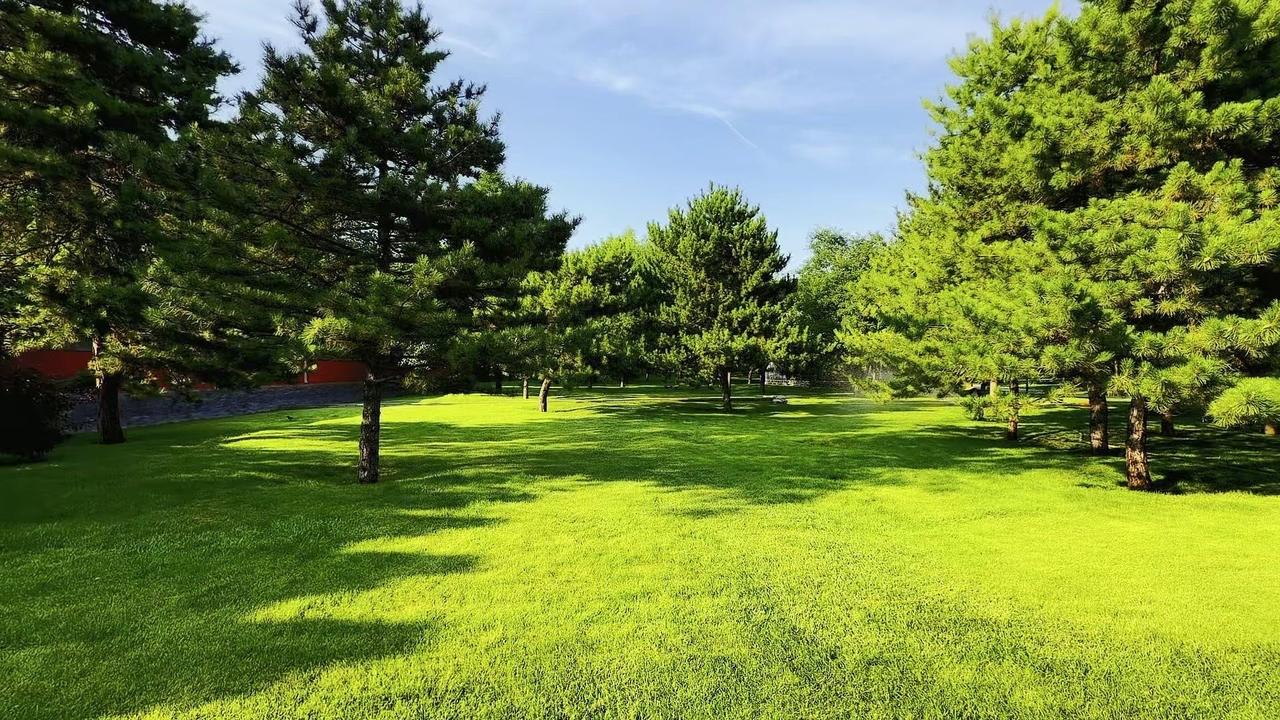 🌿初夏的草地太治愈了！褪去春日鹅黄，沉淀出浓郁碧色，像块松软的绿毯铺满山坡。每