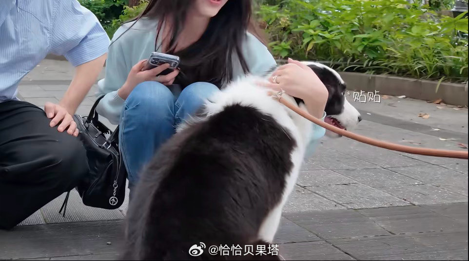 柳周cp[超话] 我的小情侣竟然还背情侣包吗～两位约会还怪可爱的嘞[点赞] ​​