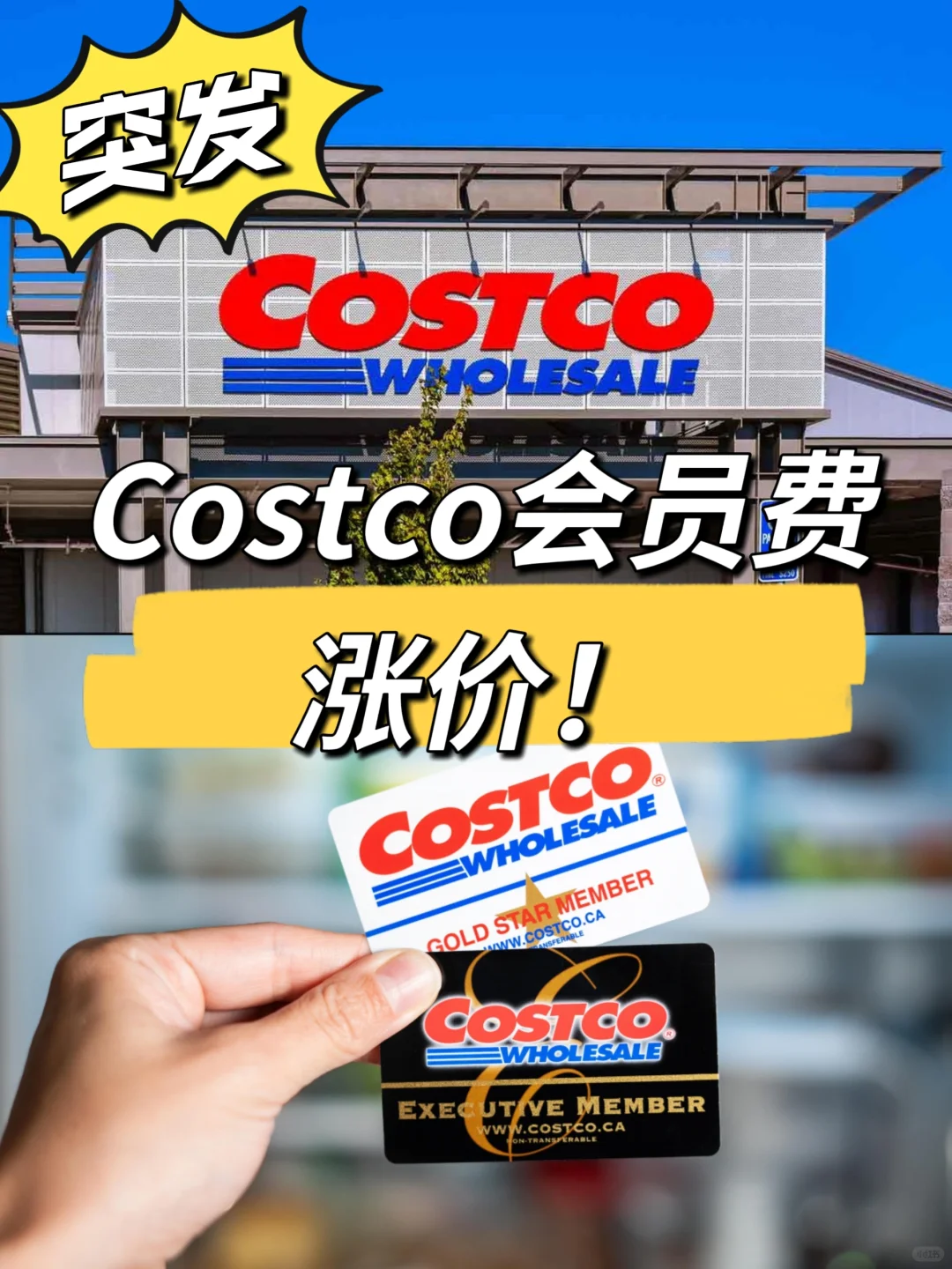 突发涨价❗Costco会员费上涨💰9月1日生效