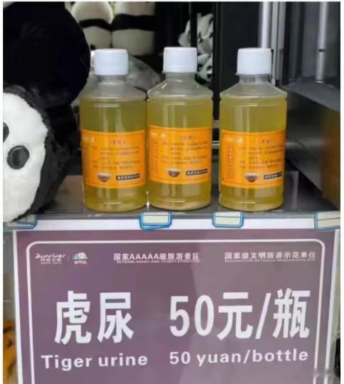 四川一动物园卖虎尿50元1瓶 老虎🐅一脸懵，怎么老子撒泡尿都有这么多人抢？这个