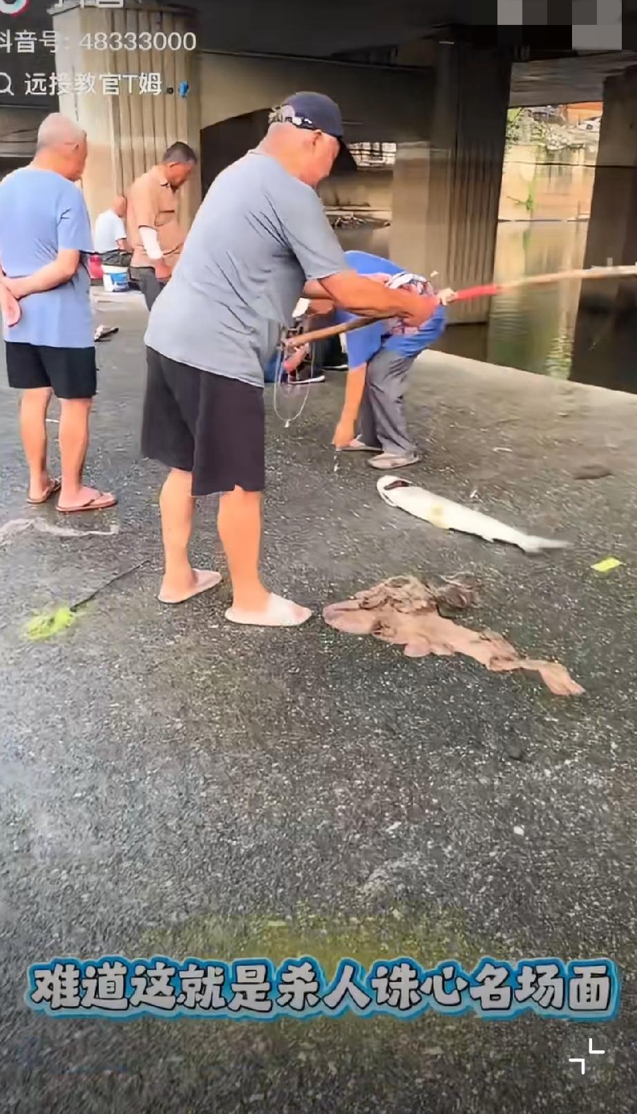 你说你，这路亚竿，这巨物翘嘴…谁不生气啊，我不会钓鱼也生气…[允悲][允悲][允