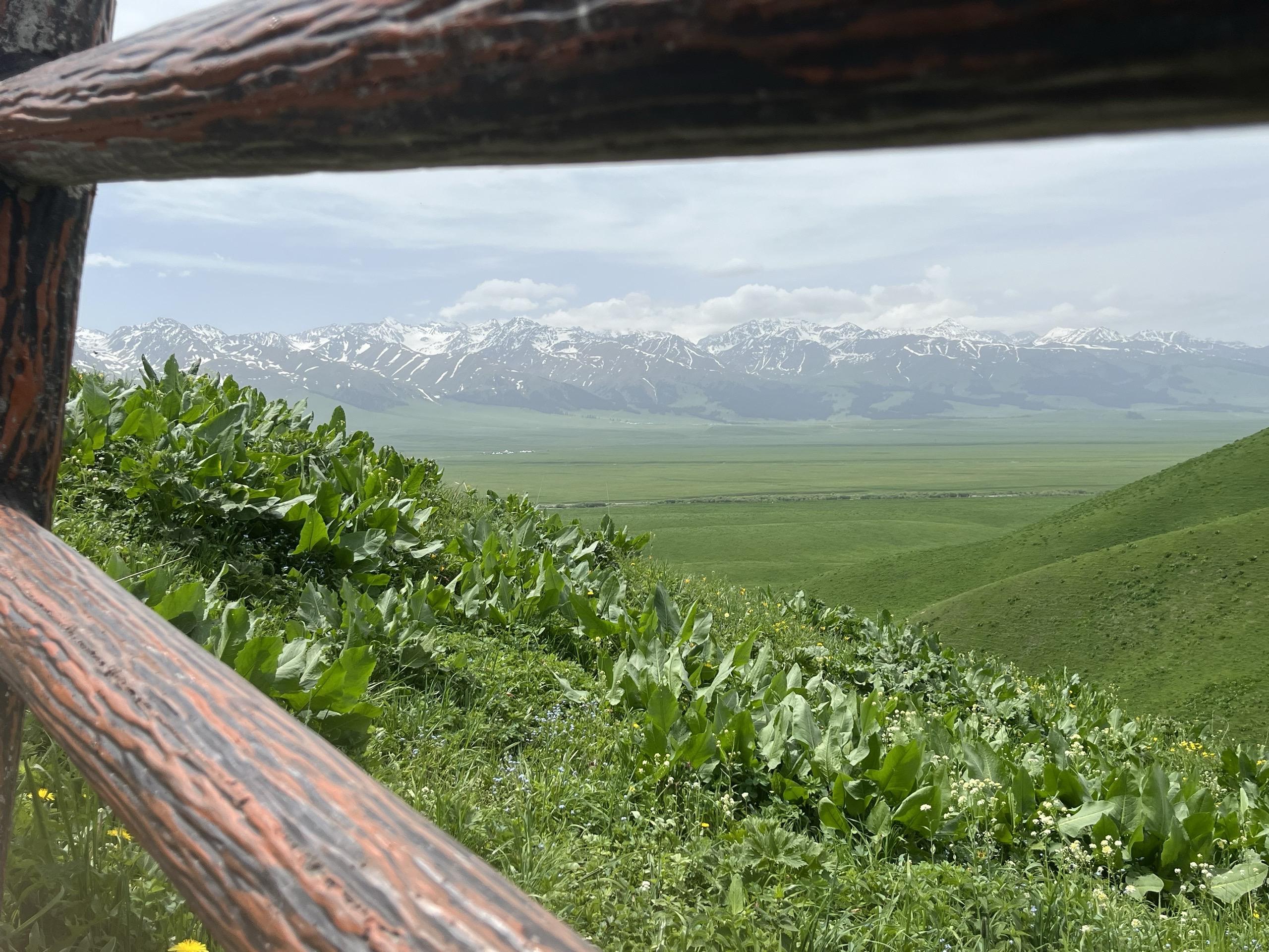 培养自信和底气最好的办法 就是对所有人祛魅  所有人都是第一次做人 大...