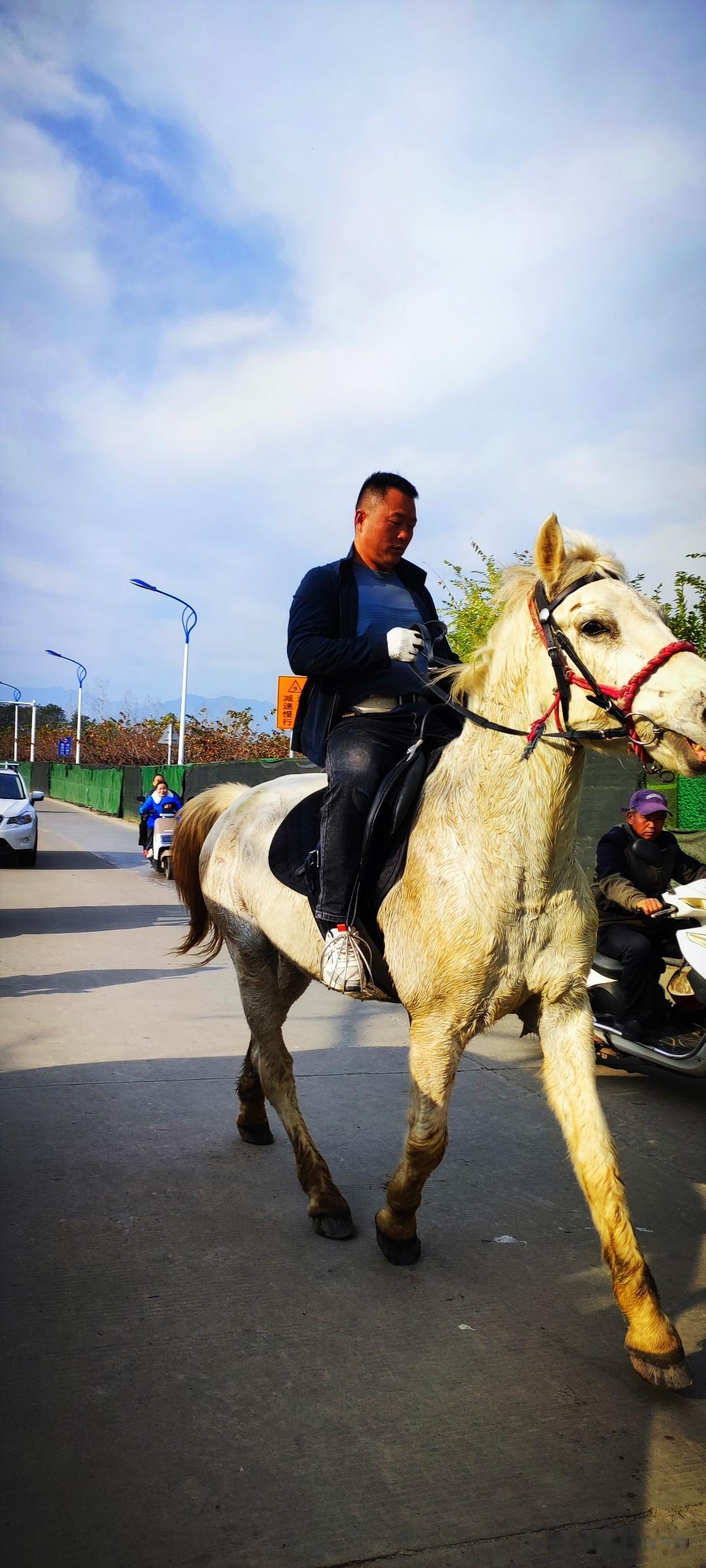 冬日生活随拍午后的汉江湿地公园里，遇着身骑白马的“王子”。似乎是红尘英雄般的驭马