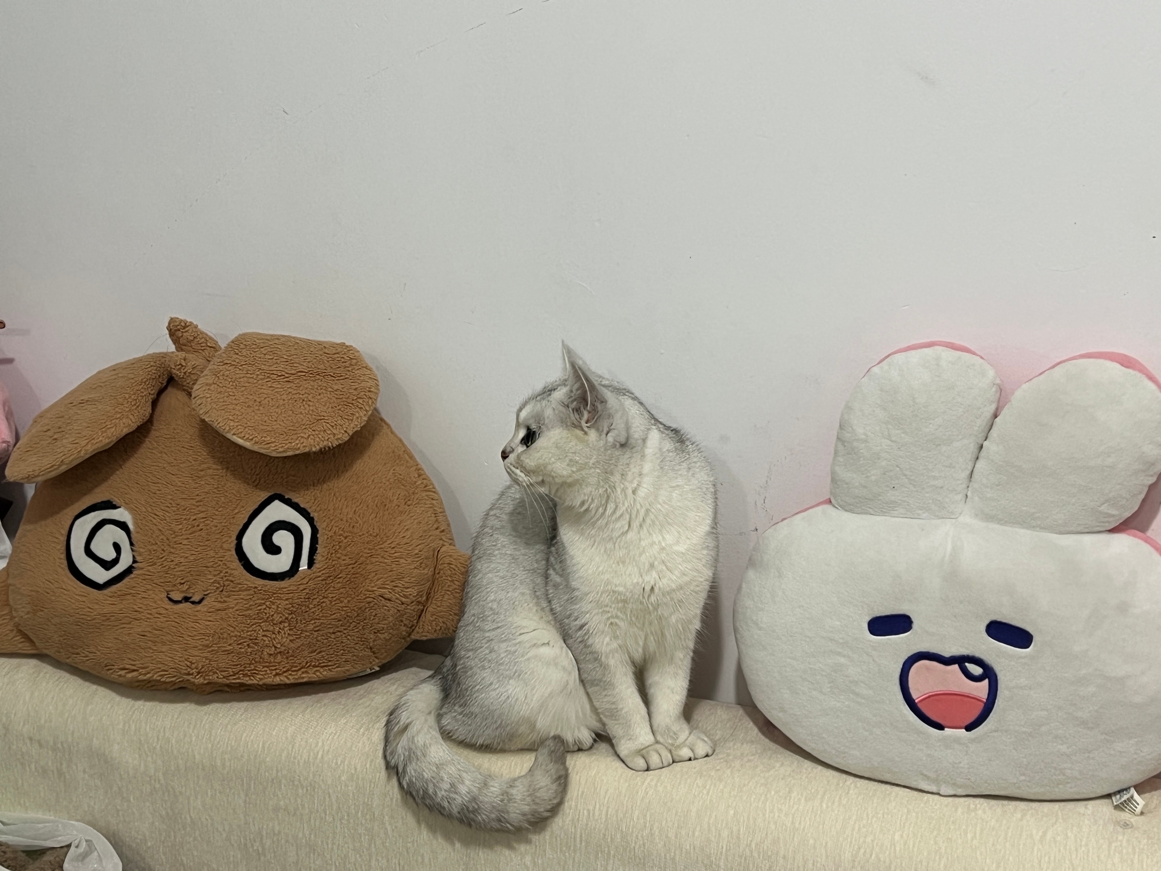 猜到了，一夹一个准～来看点可爱奶茶吧～ ​​​