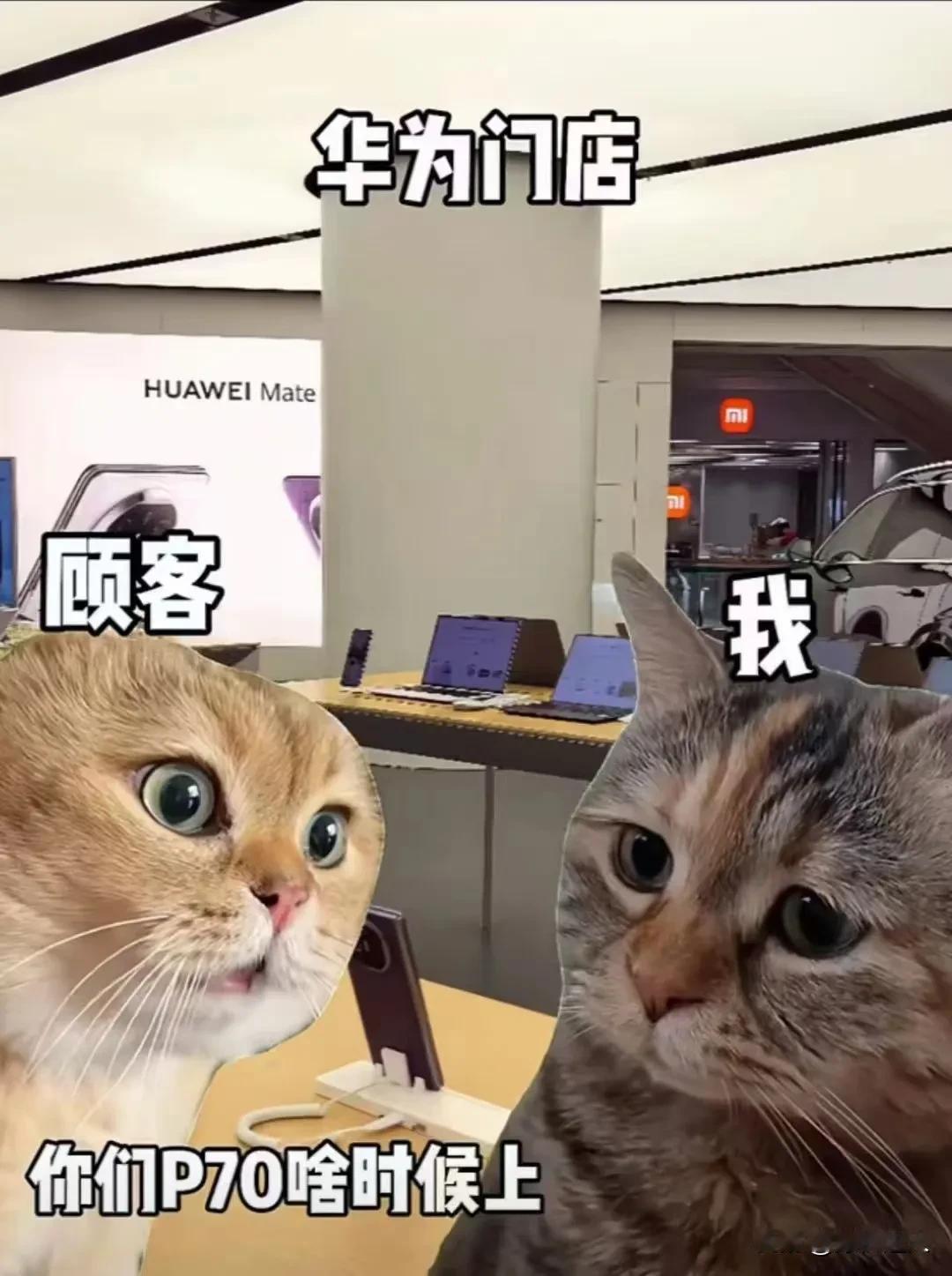 就问还有谁？华为P70系列手机壳热度持续提升！

目前华为P70系列在线下门店已