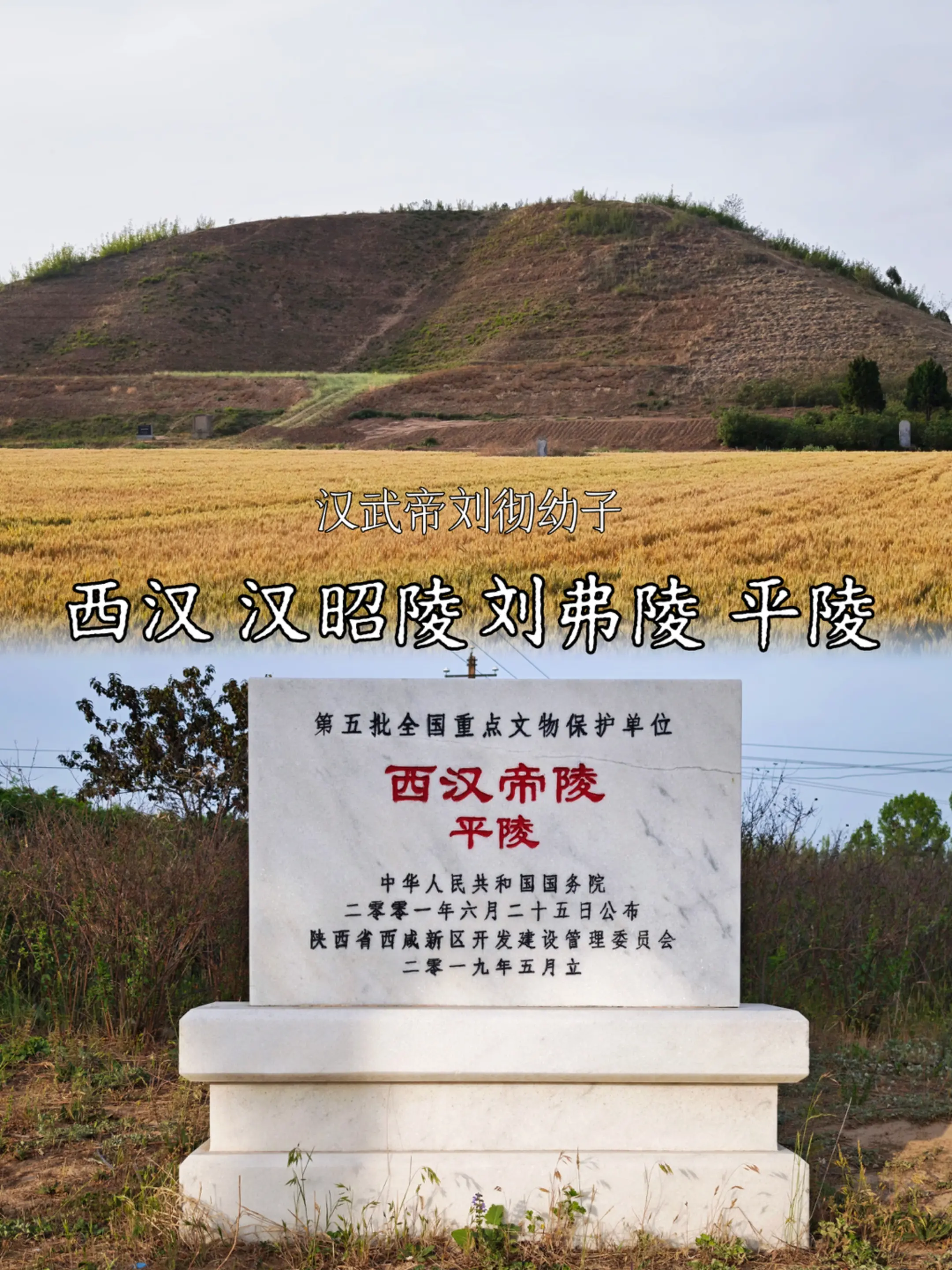 汉武帝的儿子汉昭帝刘弗陵平陵。西汉第八位皇帝！ 汉昭帝刘弗陵（前94年...